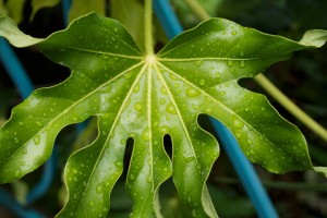 marcher sous la pluie
