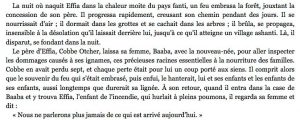 No Home de Yaa Gyasi
